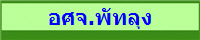 อศจ.พัทลุง